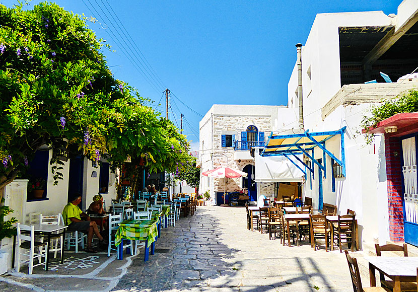 Taverna Loza i Langada på Amorgos i Grekland.