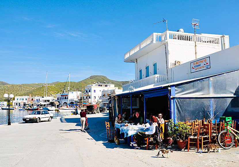 Taverna Mouragio i Katapola på Amorgos.